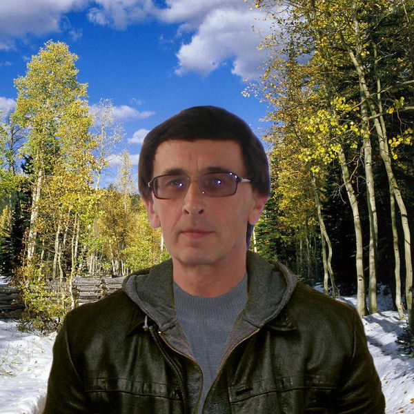 Владимир Петрик