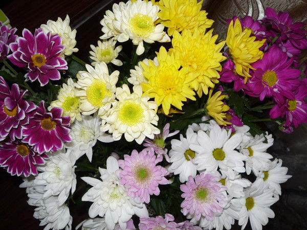 Ирина Малашонок