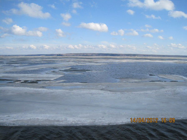 Елена Петрова