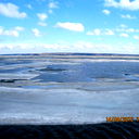 Елена Петрова