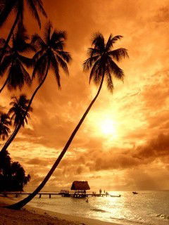 Татьяна Ларина