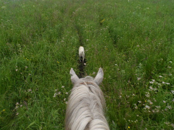 Тимур Джусамбаев