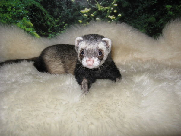 Евгения Куренкова