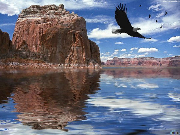 Осман Омаров