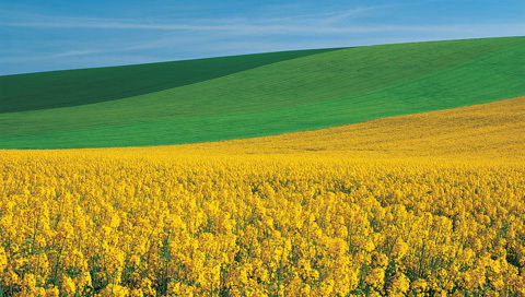 Гульмира Баймурзина