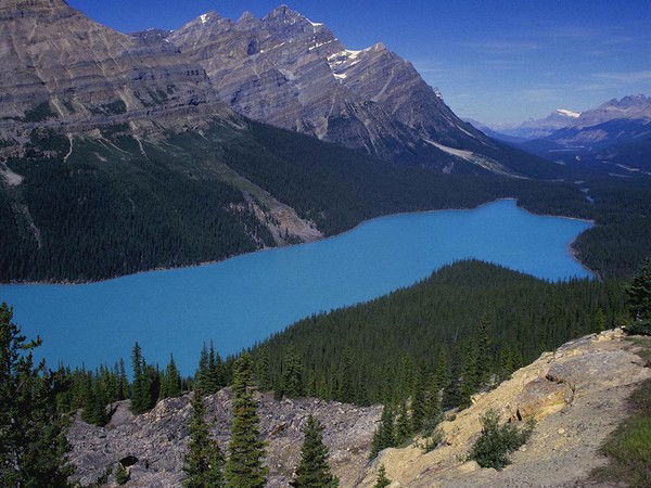 Даука Тунгашбай