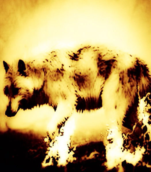 Мовсар Хасханов