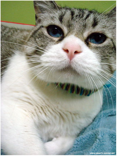 Екатерина Т.