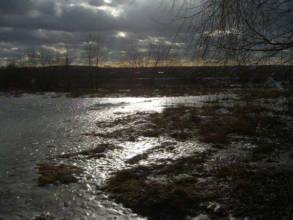 Татьяна Бушуева