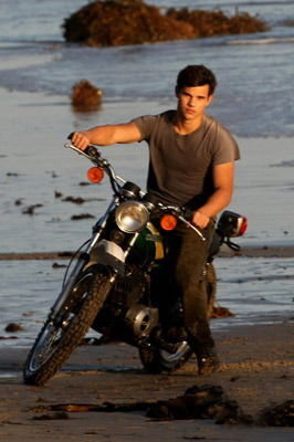 Лис Лисовой