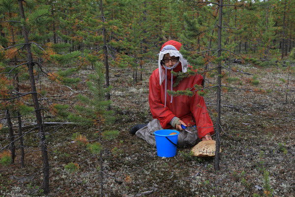 Татьяна Осокина