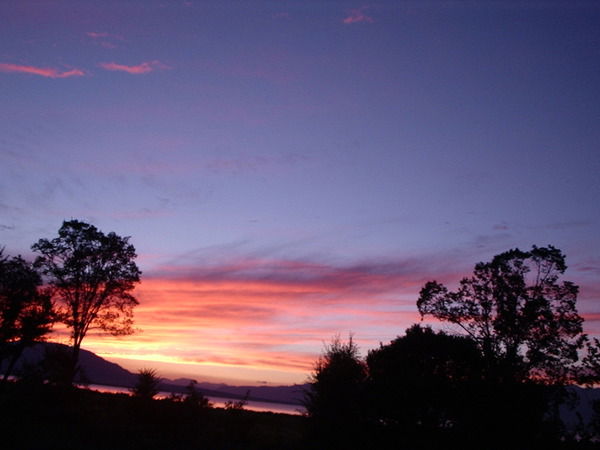 Антонина Ли