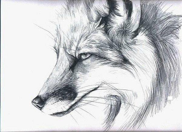 Александр Мальцев