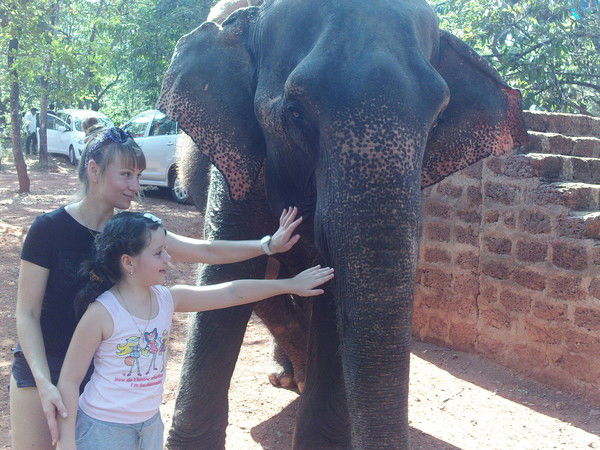 Наталья Акимова