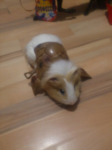 Вера Дударева