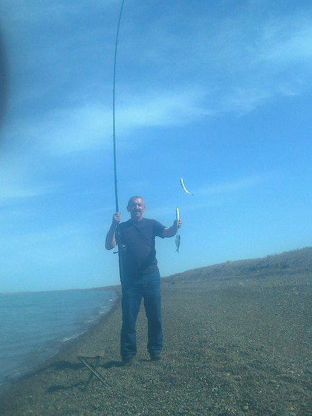 Александр Алексеев