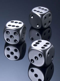 Шевченко Владислав