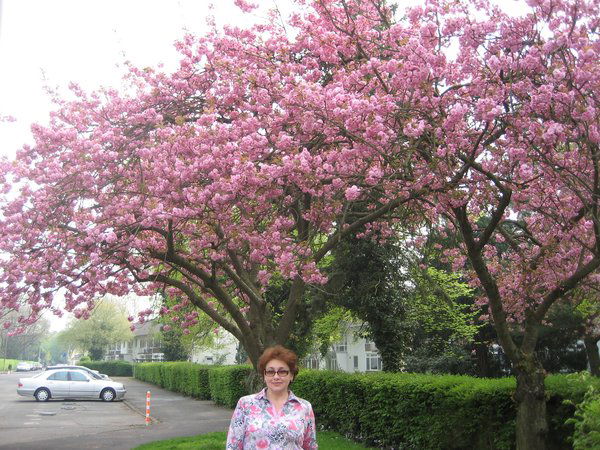 Людмила Редько