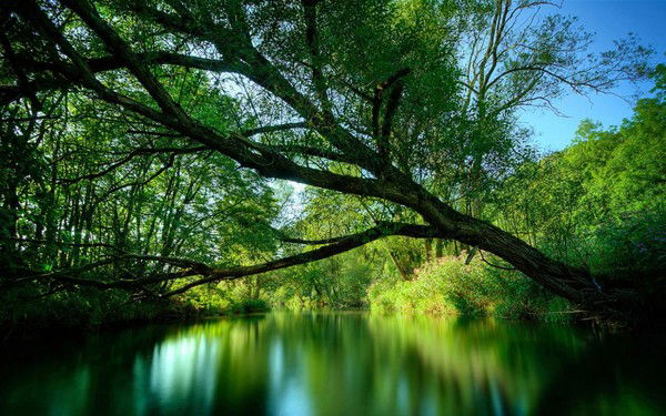 Вита Каргапольцева