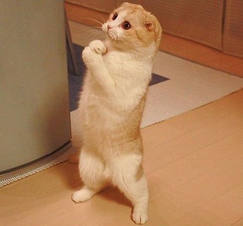 Михаил Федин