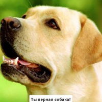 Дарина Конева