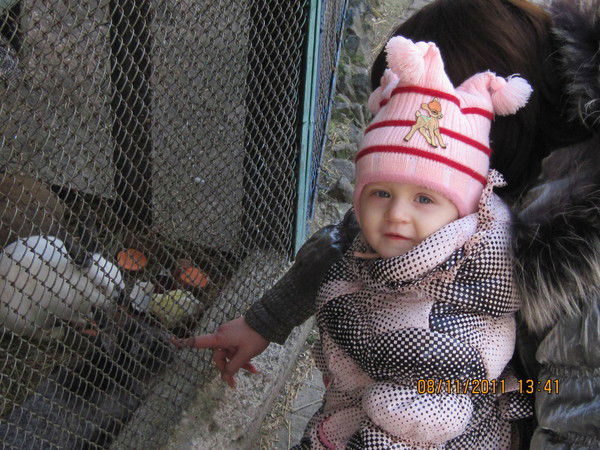 Лилия Сапожникова