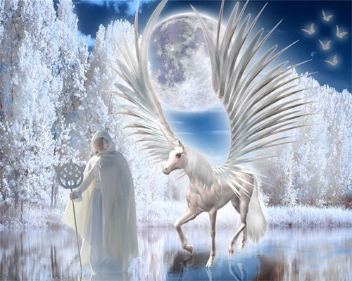 Елена Ямсина