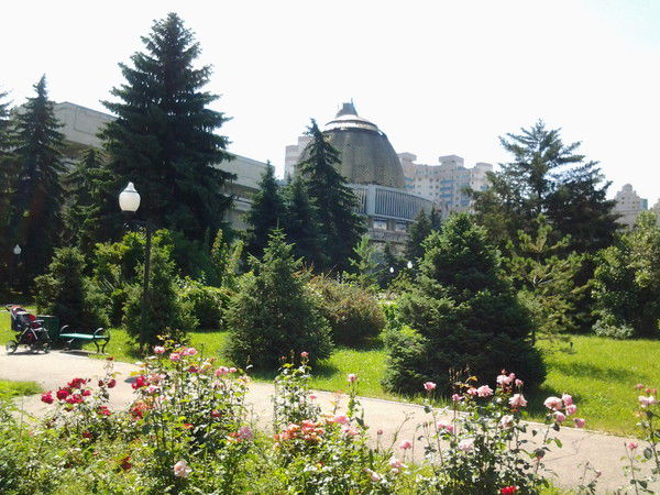 Раушан Сеилбаева