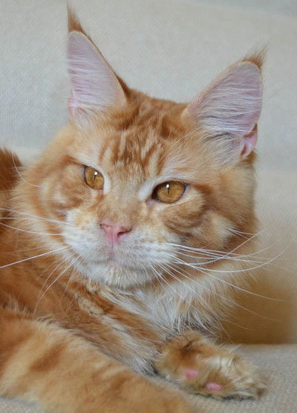 Надежда Трушкина