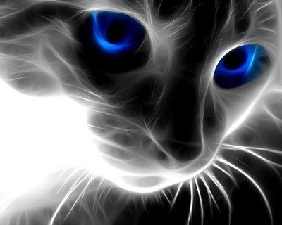 Антон Дудочкин