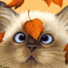 Ирина Смирнова