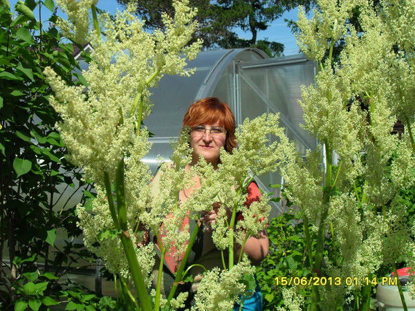 Марина Пышминцева