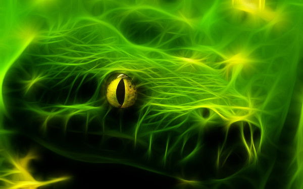 Володя Конашков