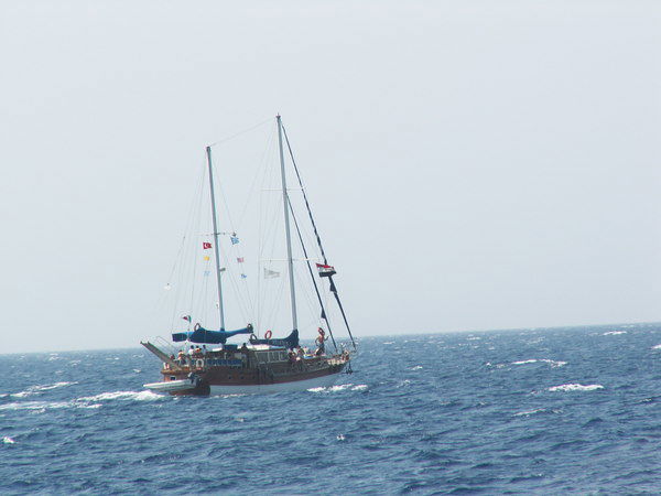 Галина Стрижкова