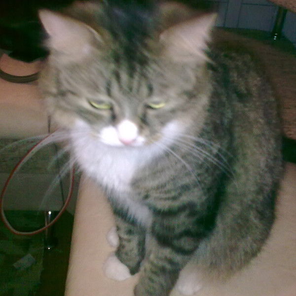 Татьяна Мытник