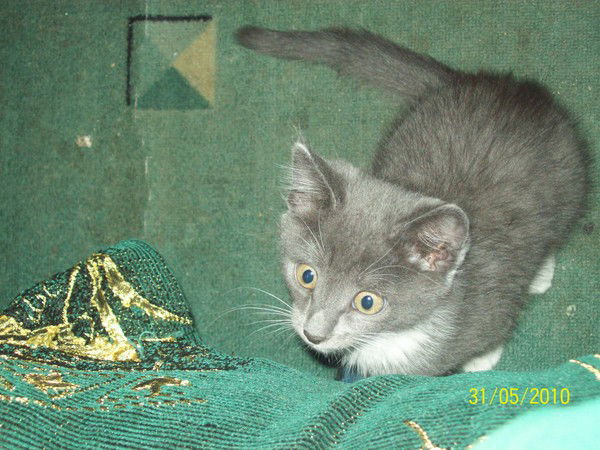 Ирина Юринская