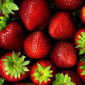 Андрей Тришин