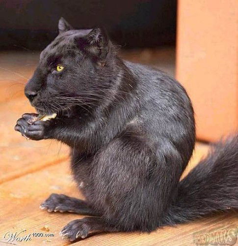 Демьян Ильевой