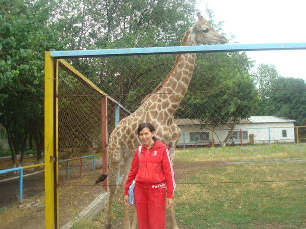 Карашаш Реджепова