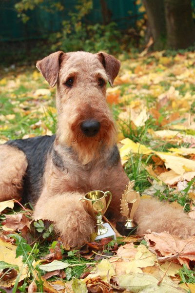 Светлана Портнова