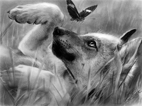 Твой Ласковый И Нежный Зверь...