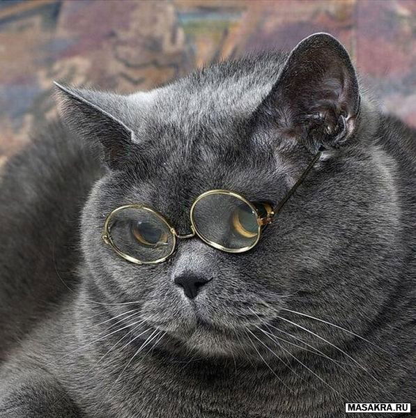 Юрий Стрельцов