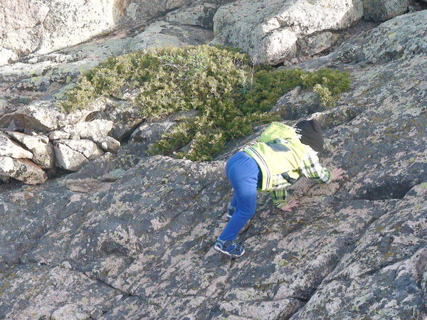 Амирхан Шамшатов