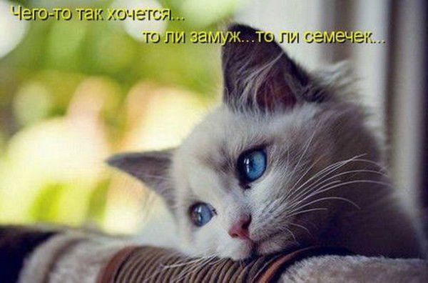 Екатерина Байбуз