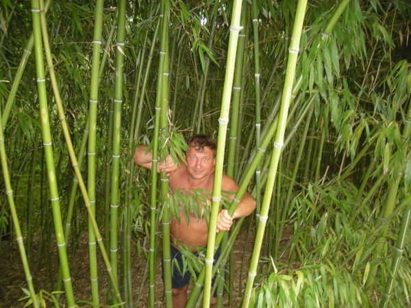 Андрей Капустин