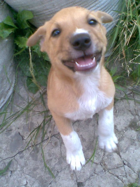 Лариса Моргун