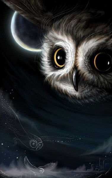 Екатерина Костыренко