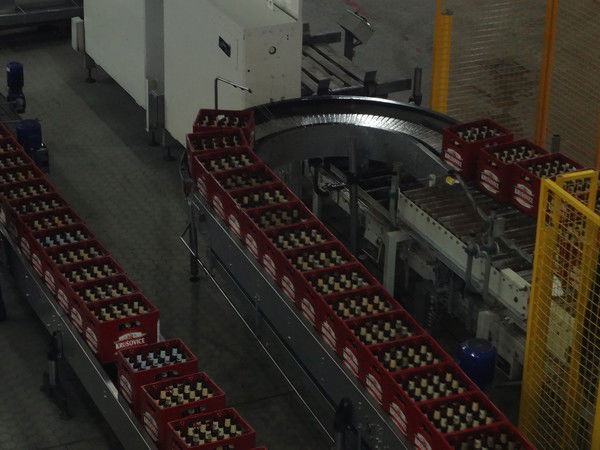 Наталья Солоднева