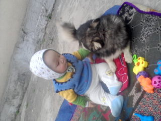 Шабдан Рахманов