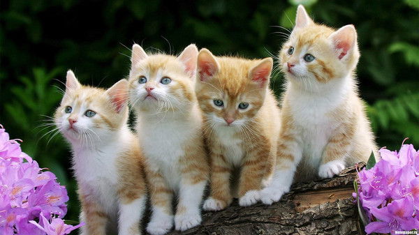 Любовь Данилова